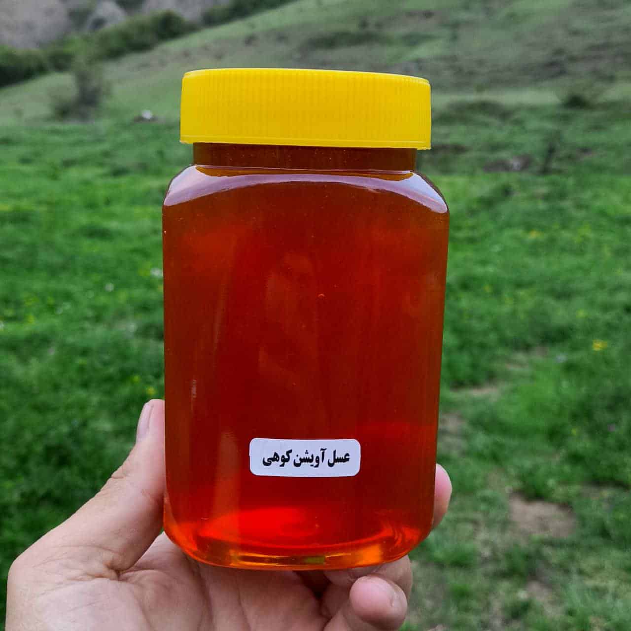 عسل طبیعی آویشن تولید شده در  استان لرستان